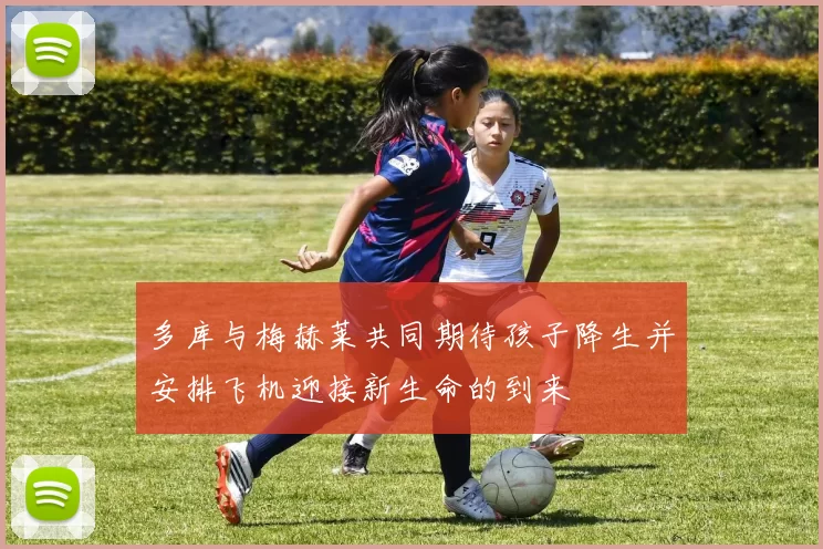 多库与梅赫莱共同期待孩子降生并安排飞机迎接新生命的到来